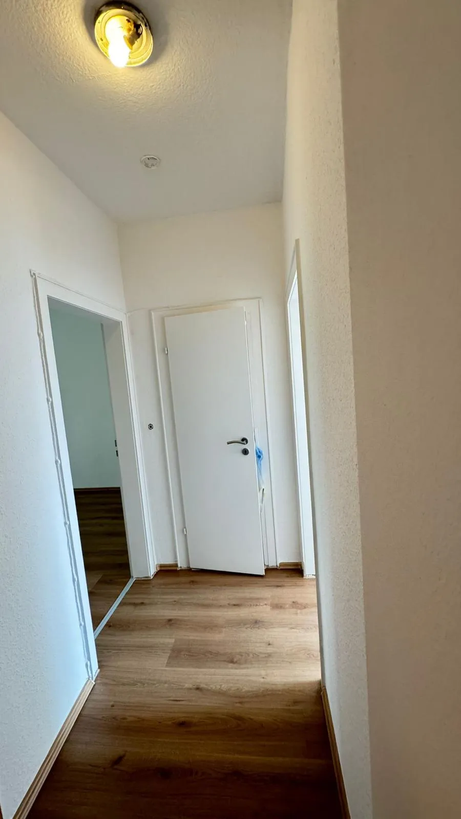 Komplettrenovierter Flur Dortmund: weisse Tueren, neuer Laminatboden, frisch gespachtelte Waende. MeisterLiga Uebergabe.